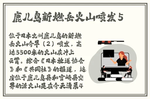 起点三大肉x器张傲雪是什么